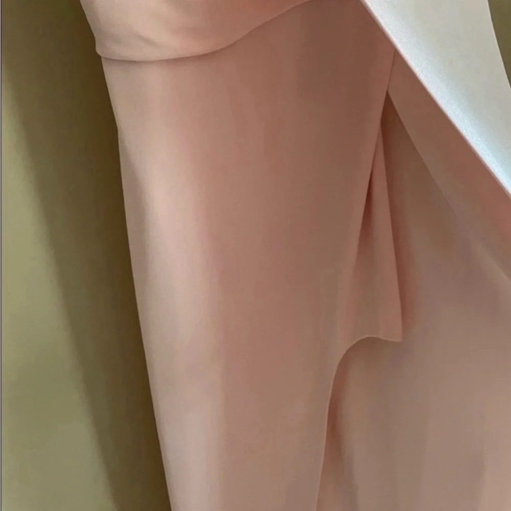 Halston Heritage Blush Strapless Dress - Picture 5 of 5